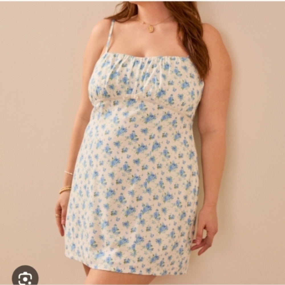 Arula Megan Floral Blue And White Mini Dress